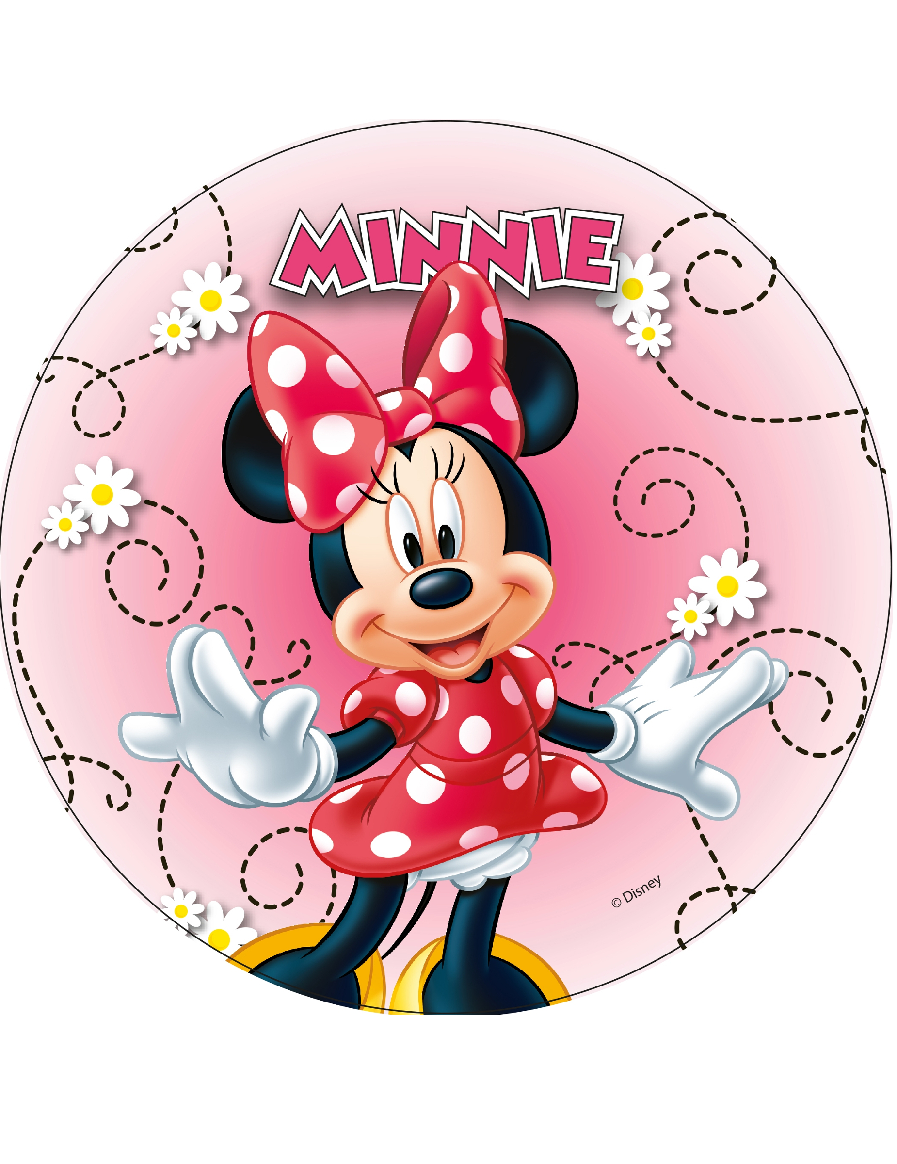 disque-en-azyme-minnie-21-cm-aleatoire_240753