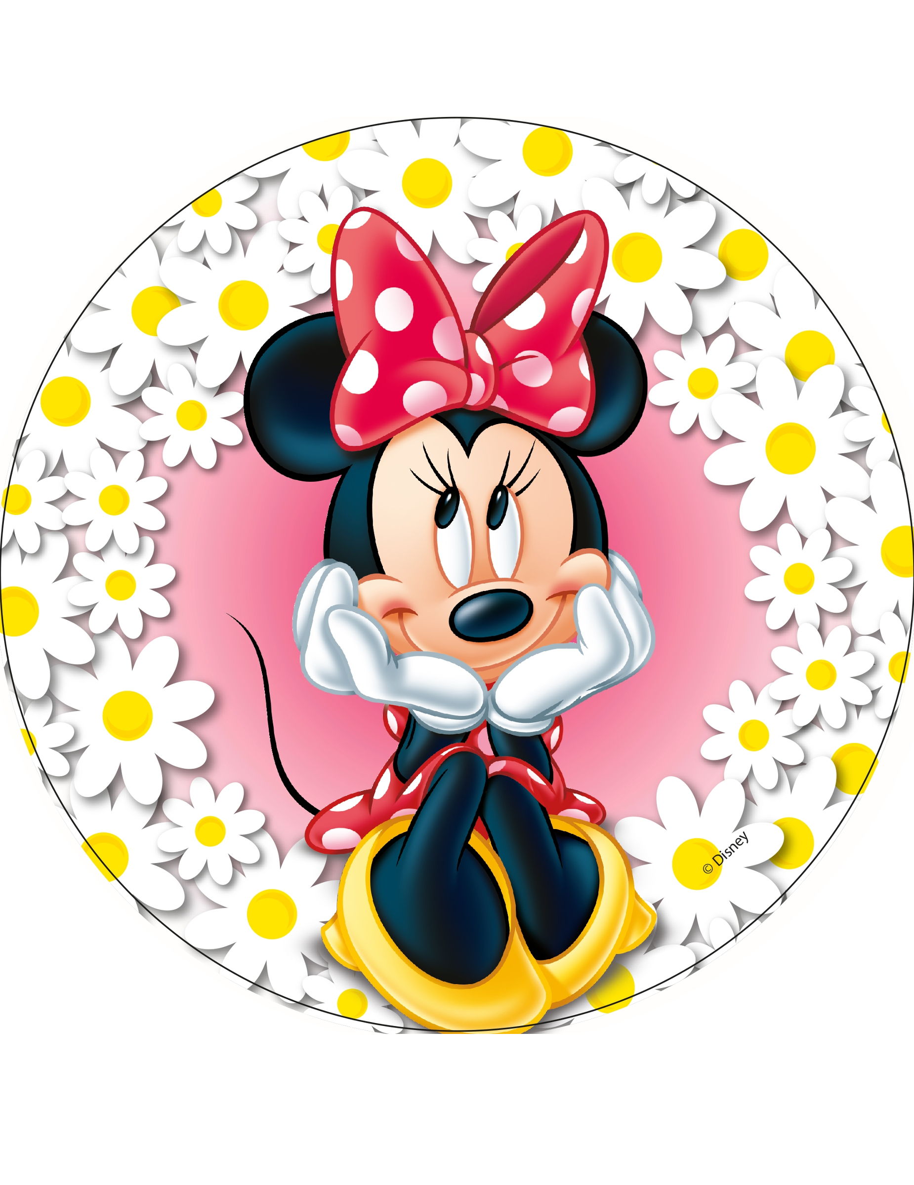 disque-en-azyme-minnie-21-cm-aleatoire_240753_2
