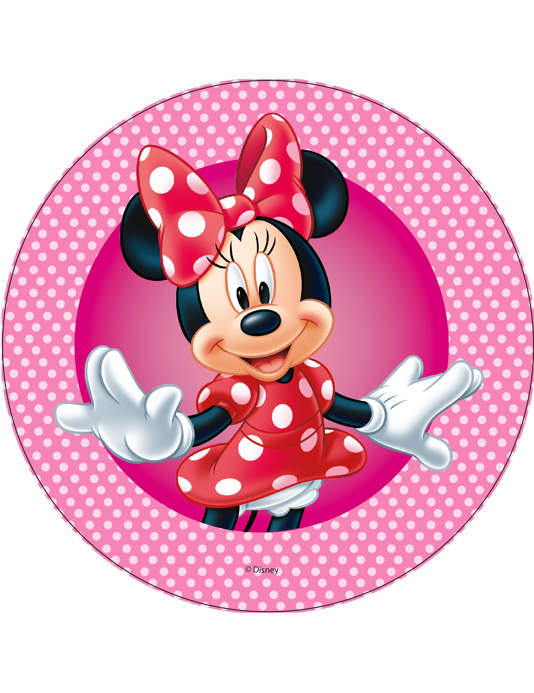 disque-en-azyme-minnie-21-cm-aleatoire_240753_3