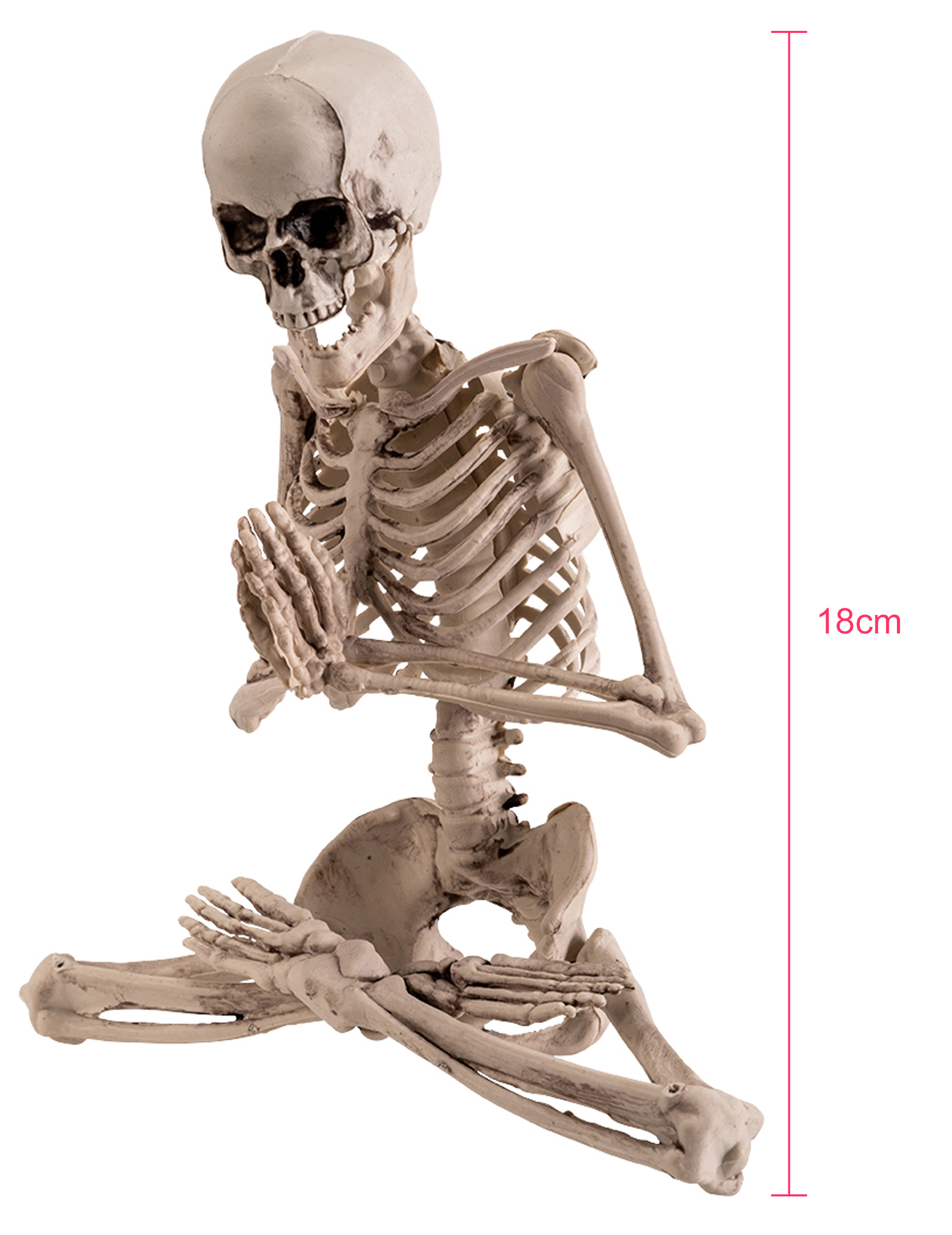 decoration-squelette-yoga-18-cm_333133_1