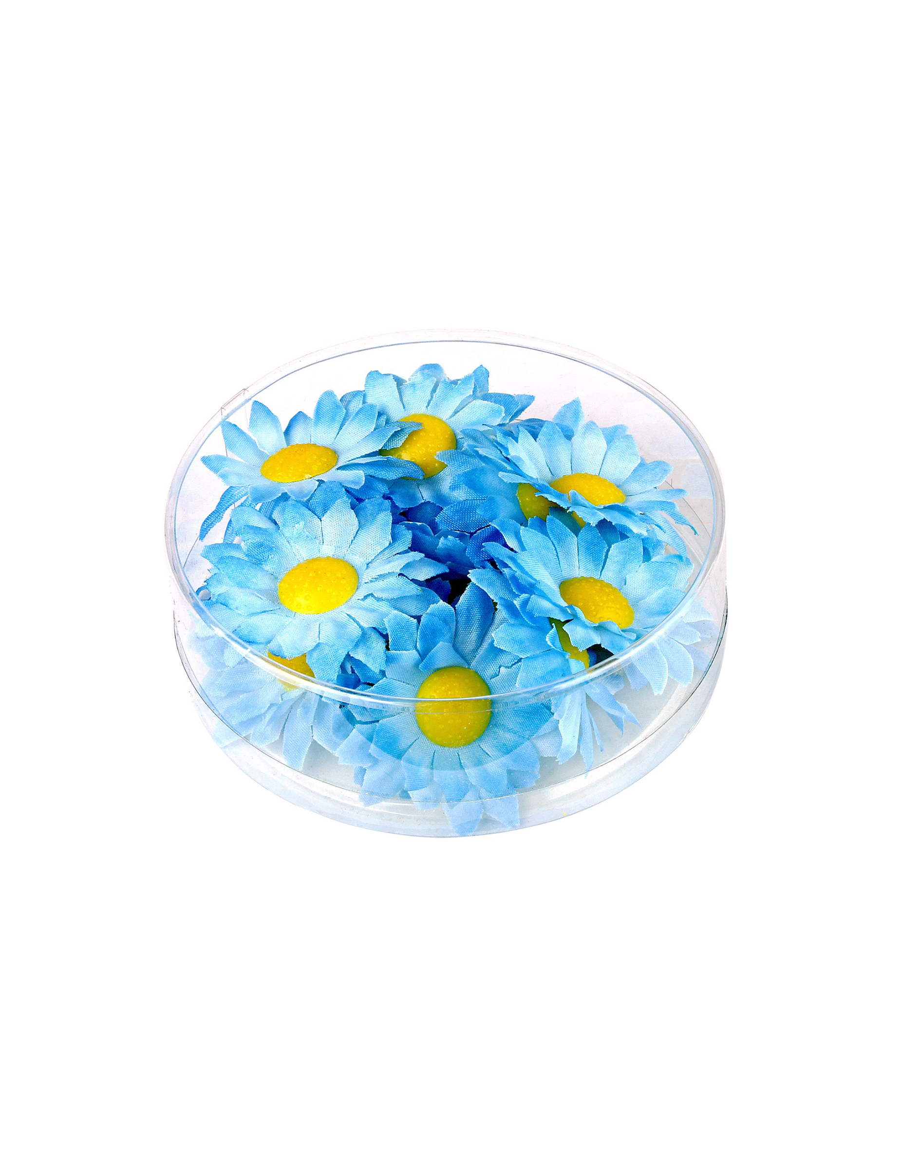 boite-de-20-fleurs-marguerite-bleu_347157