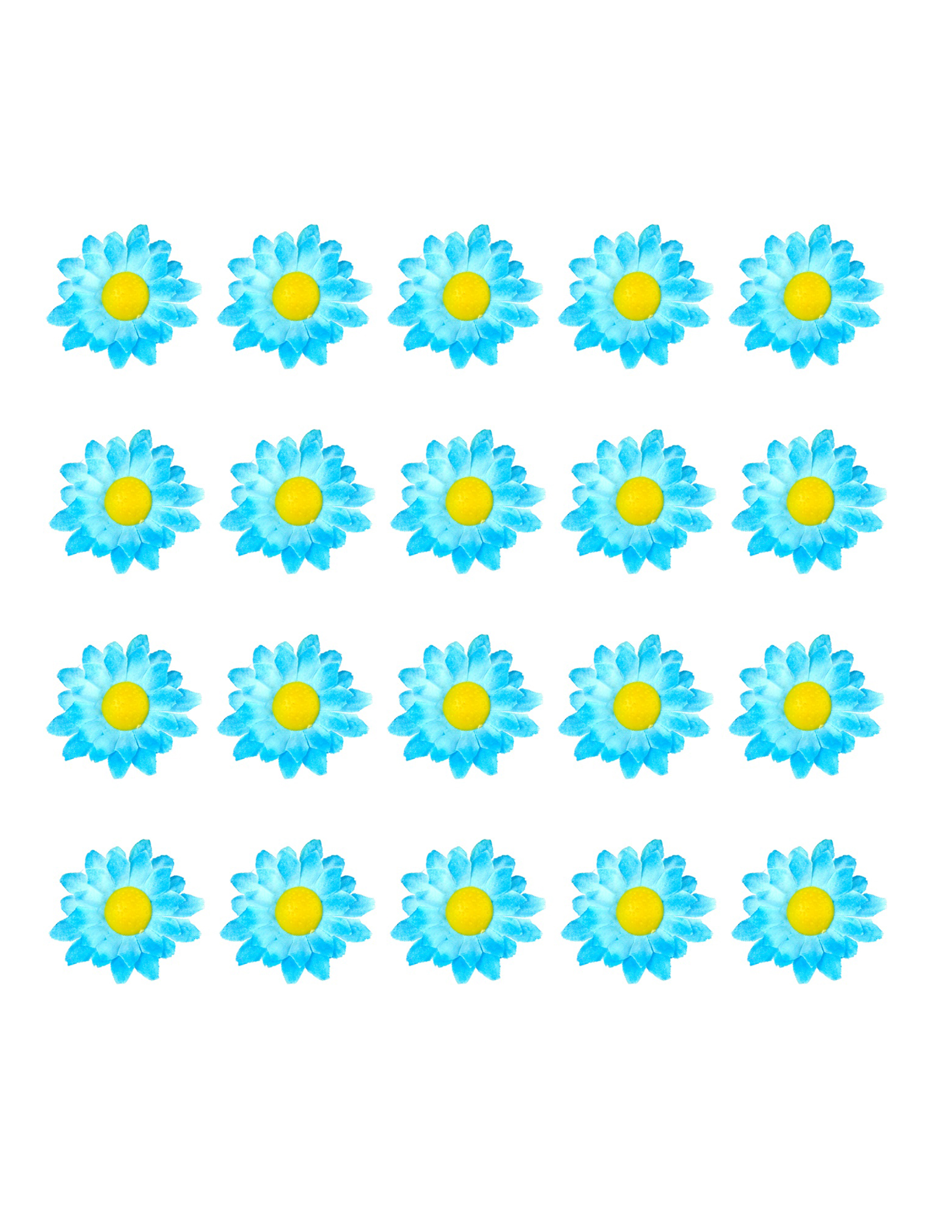 boite-de-20-fleurs-marguerite-bleu_347157_2