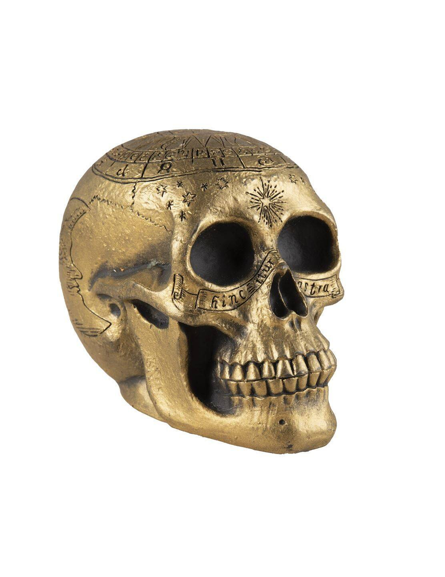 crane-de-squelette-avec-pentagramme-dore_346783