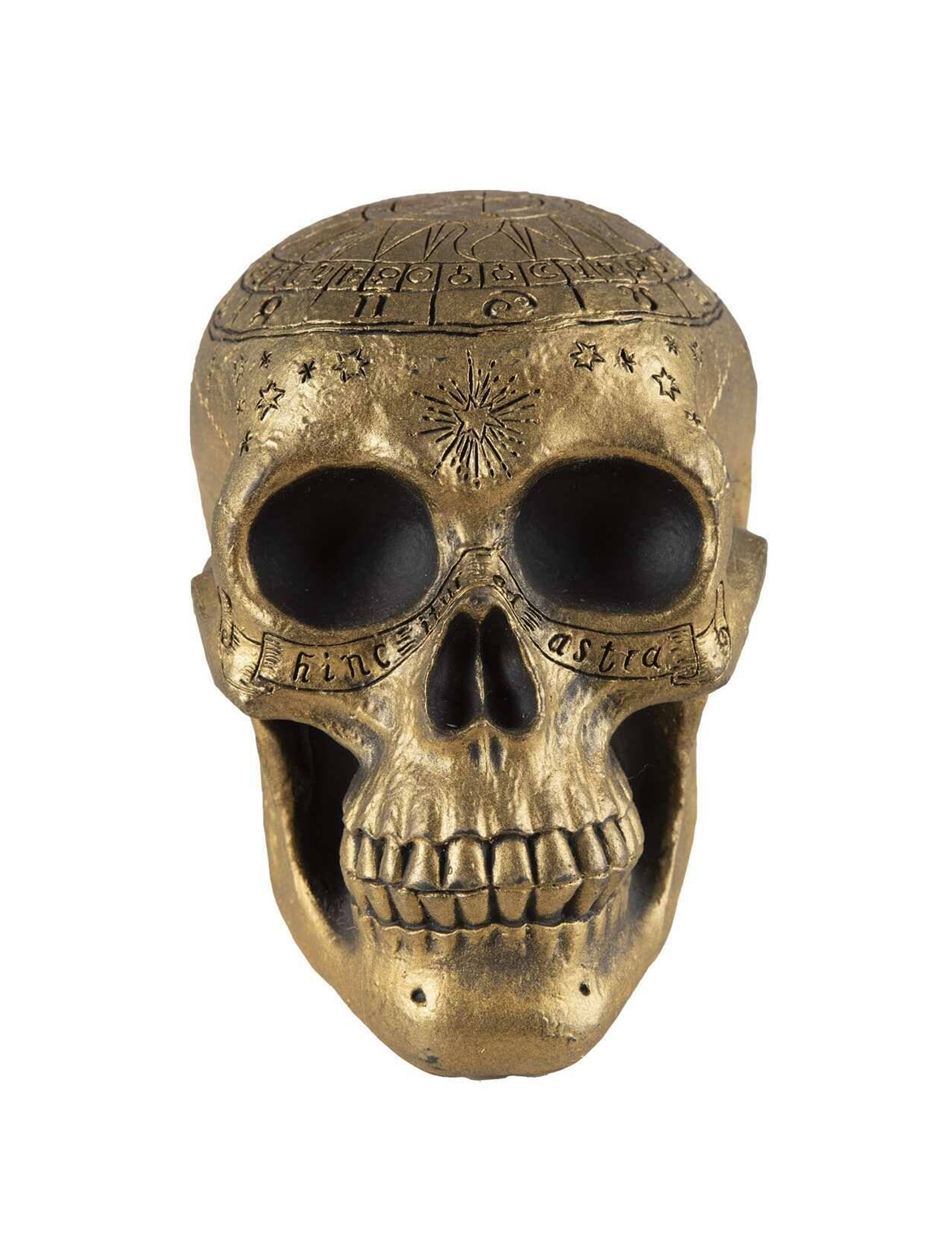 crane-de-squelette-avec-pentagramme-dore_346783_1