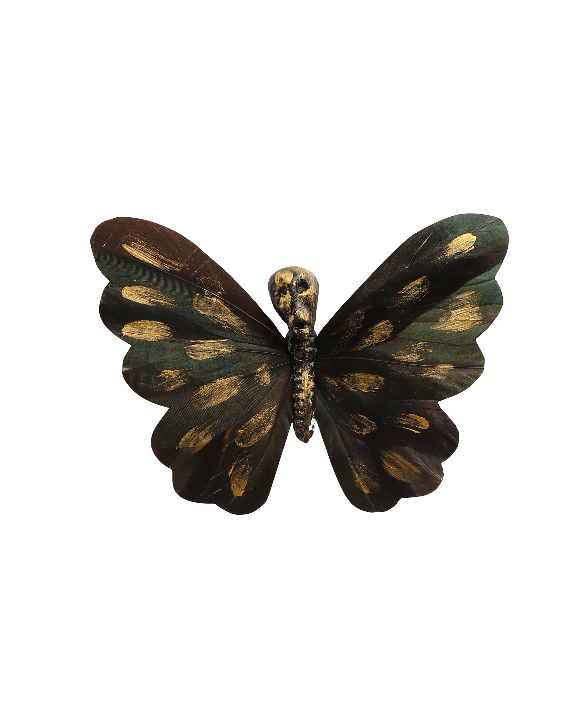 papillon-de-foret-tete-de-mort-a-pincer-13-5cm_348493