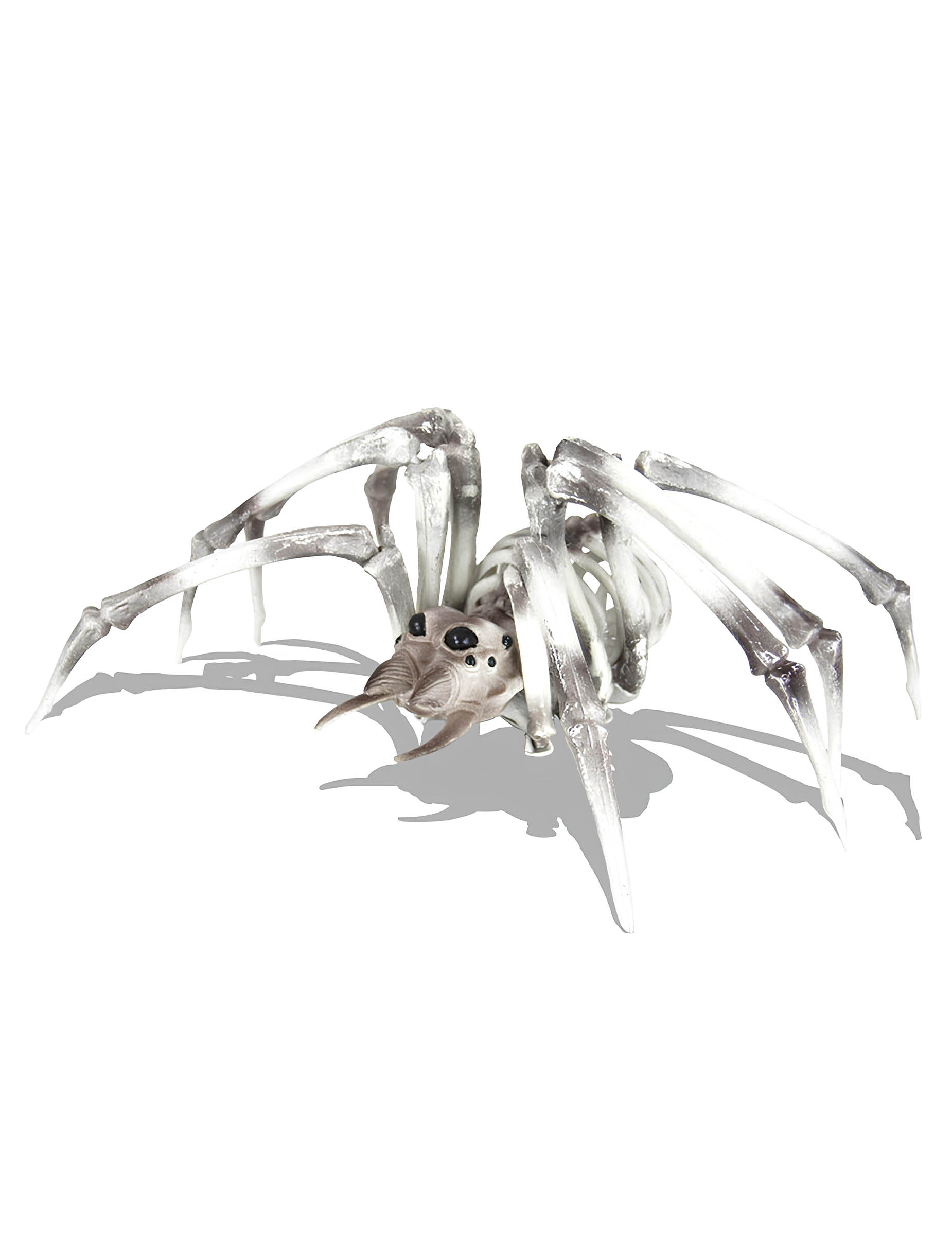 squelette-araignee-xxl_348525