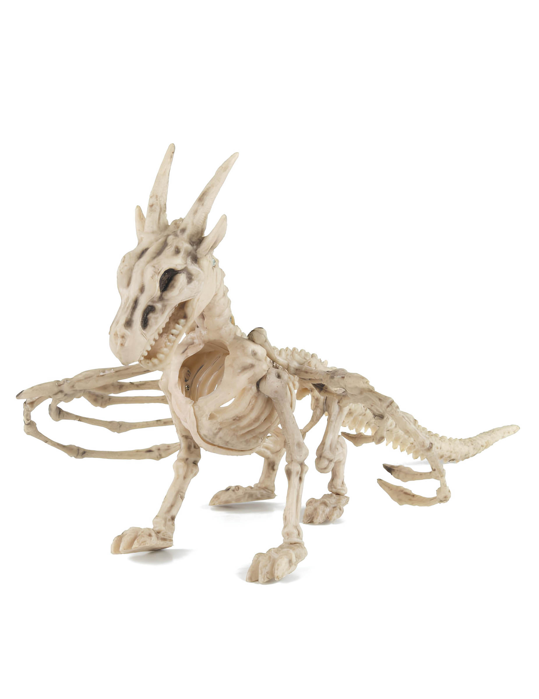 squelette-de-dragon-35cm_348523
