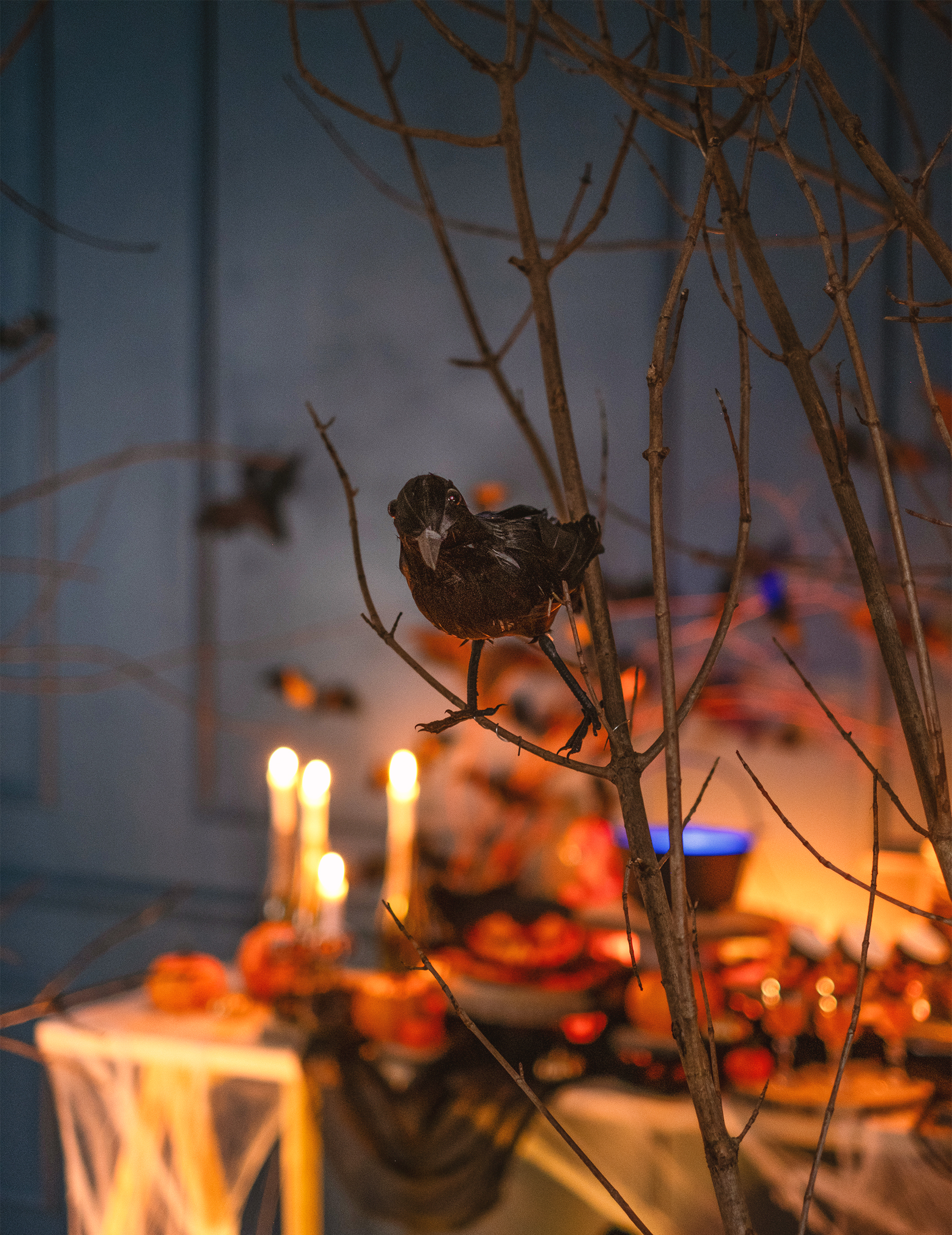 corbeau-plumes-noires-20-cm_217821_1