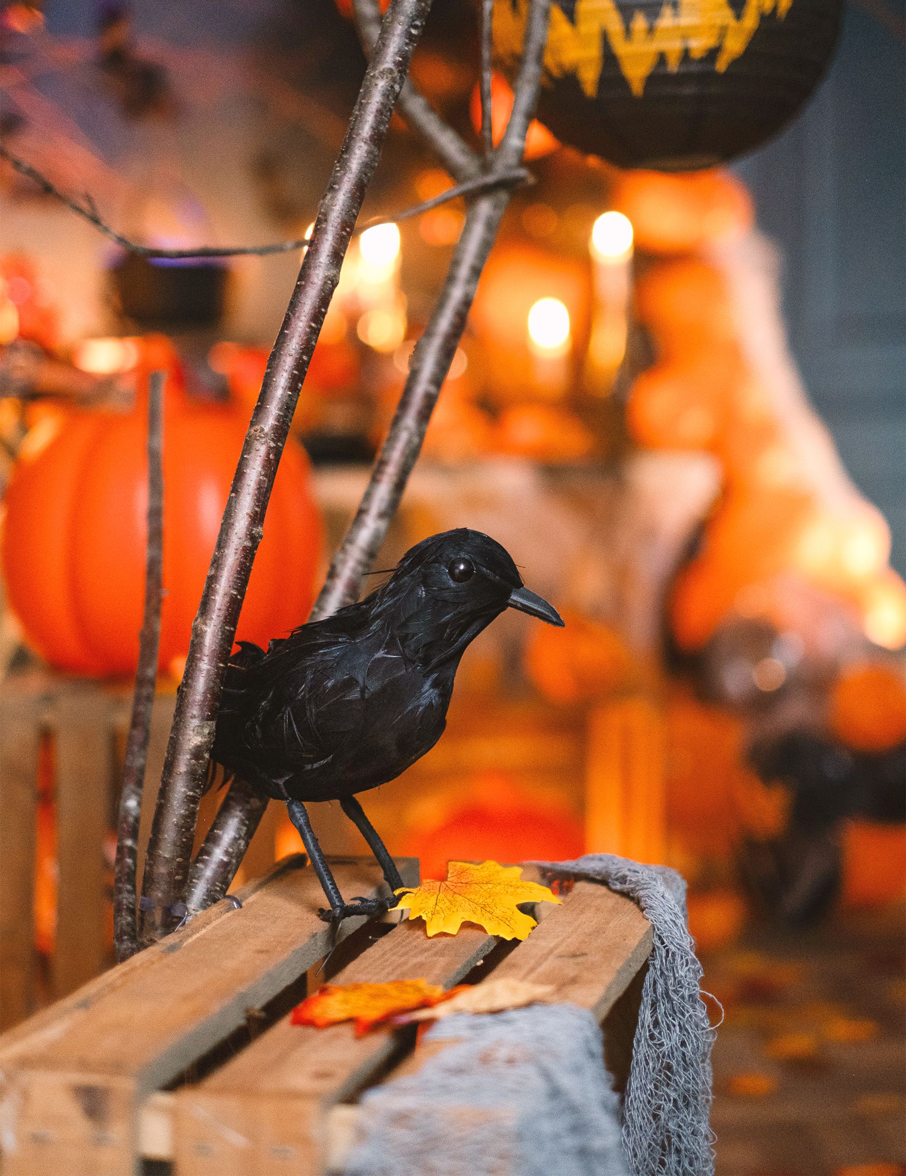 corbeau-plumes-noires-20-cm_217821_3