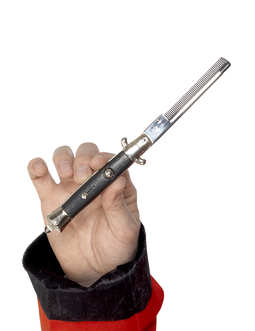 peigne-des-annees-50-adulte