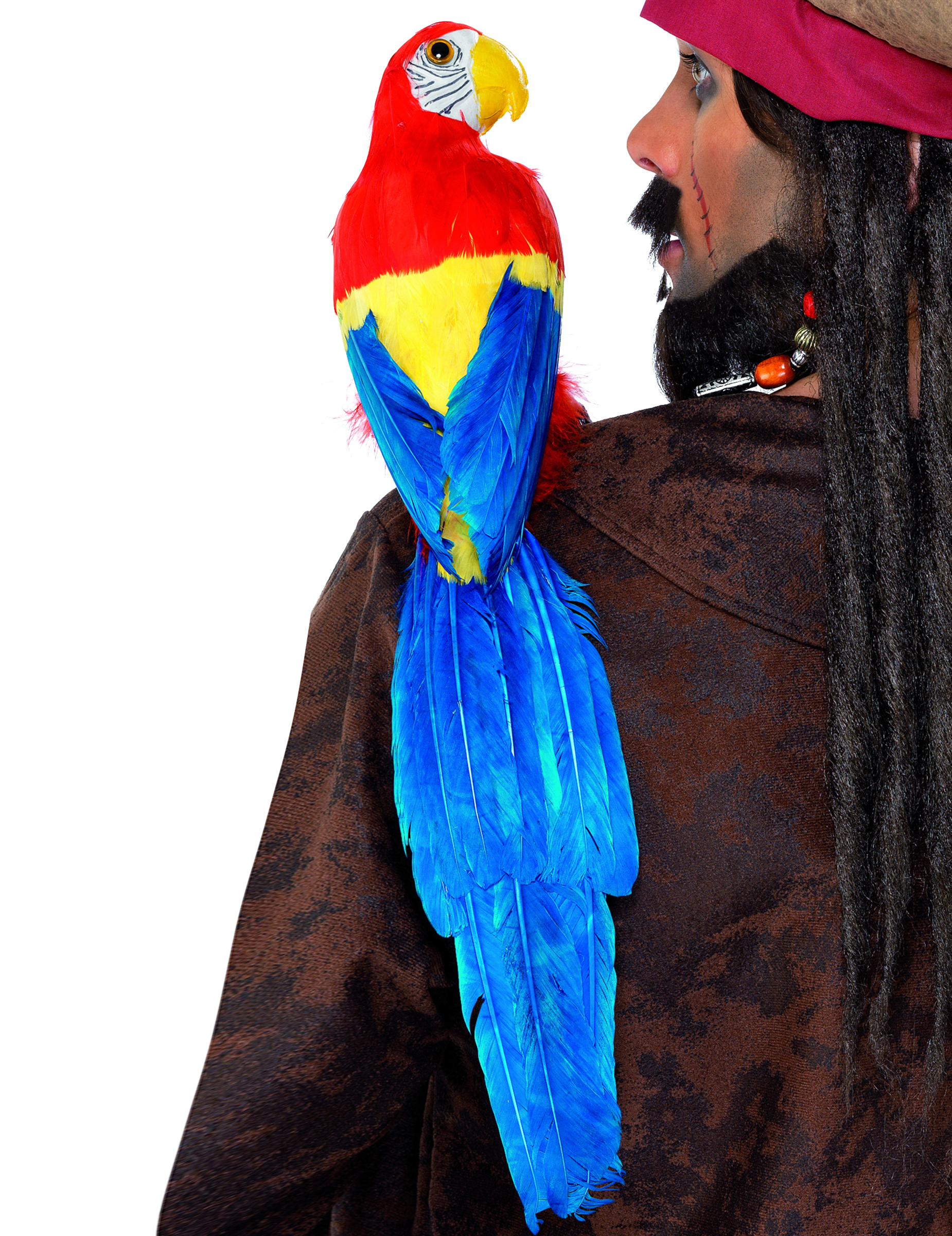 perroquet-de-pirate_175103