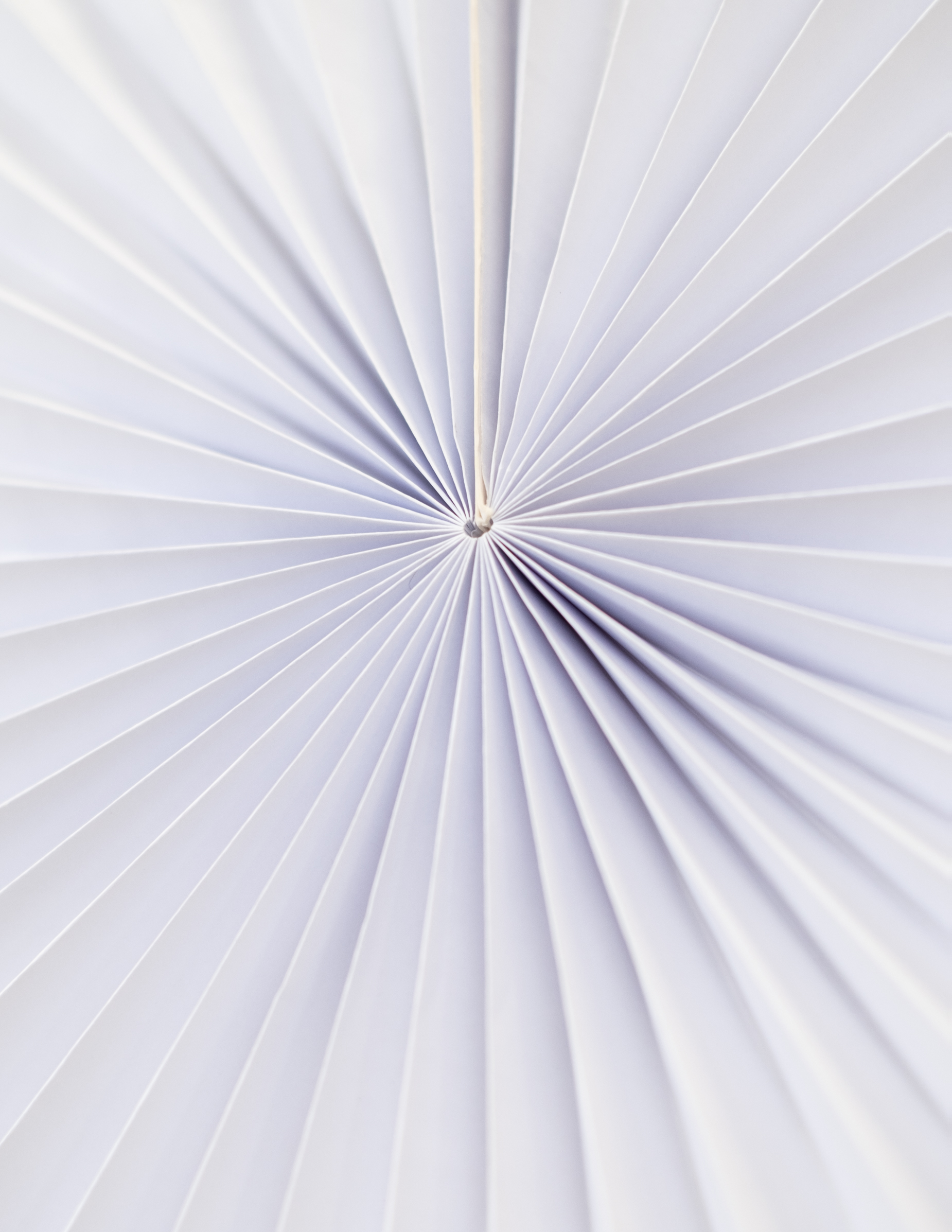 5-rosaces-en-papier-blanches_240577_2