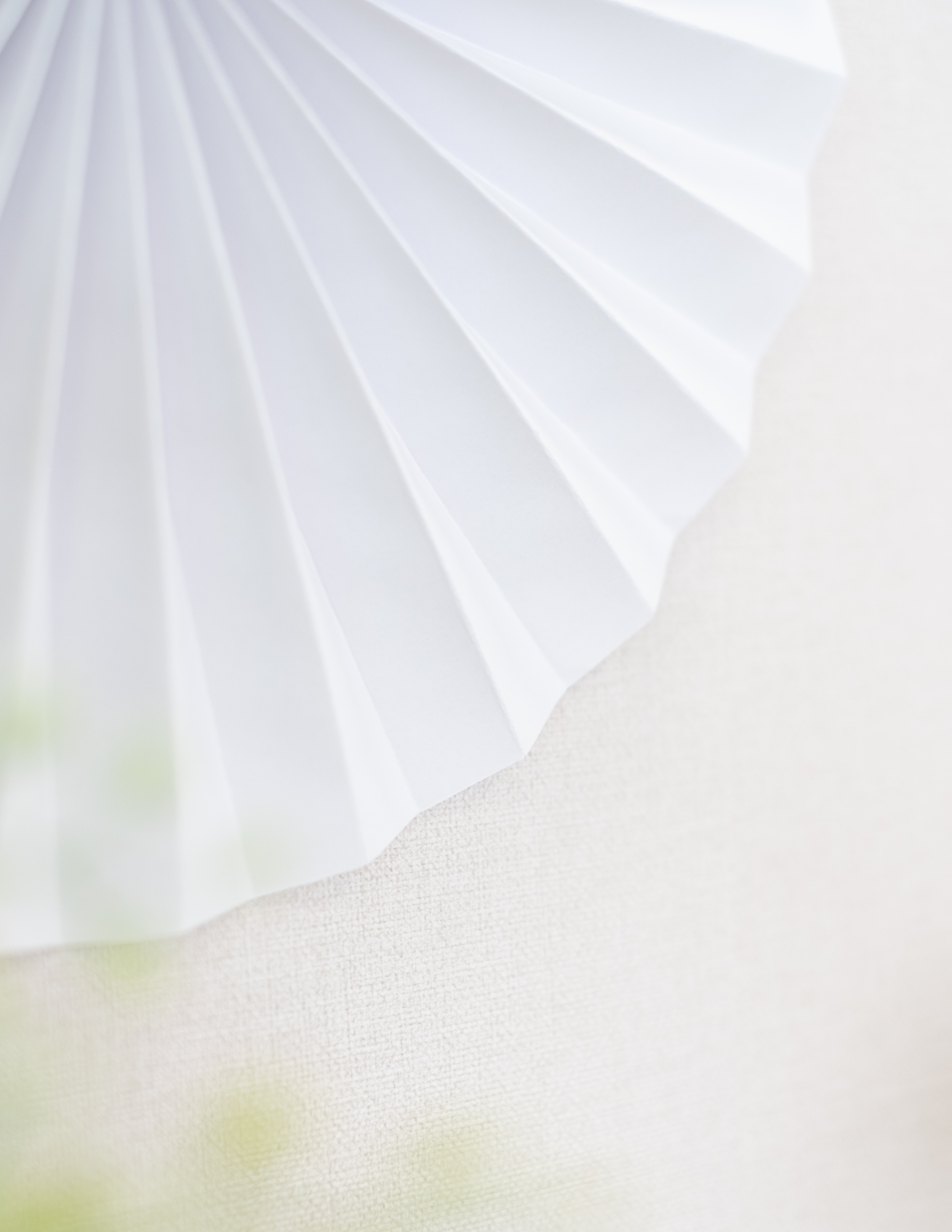 5-rosaces-en-papier-blanches_240577_3