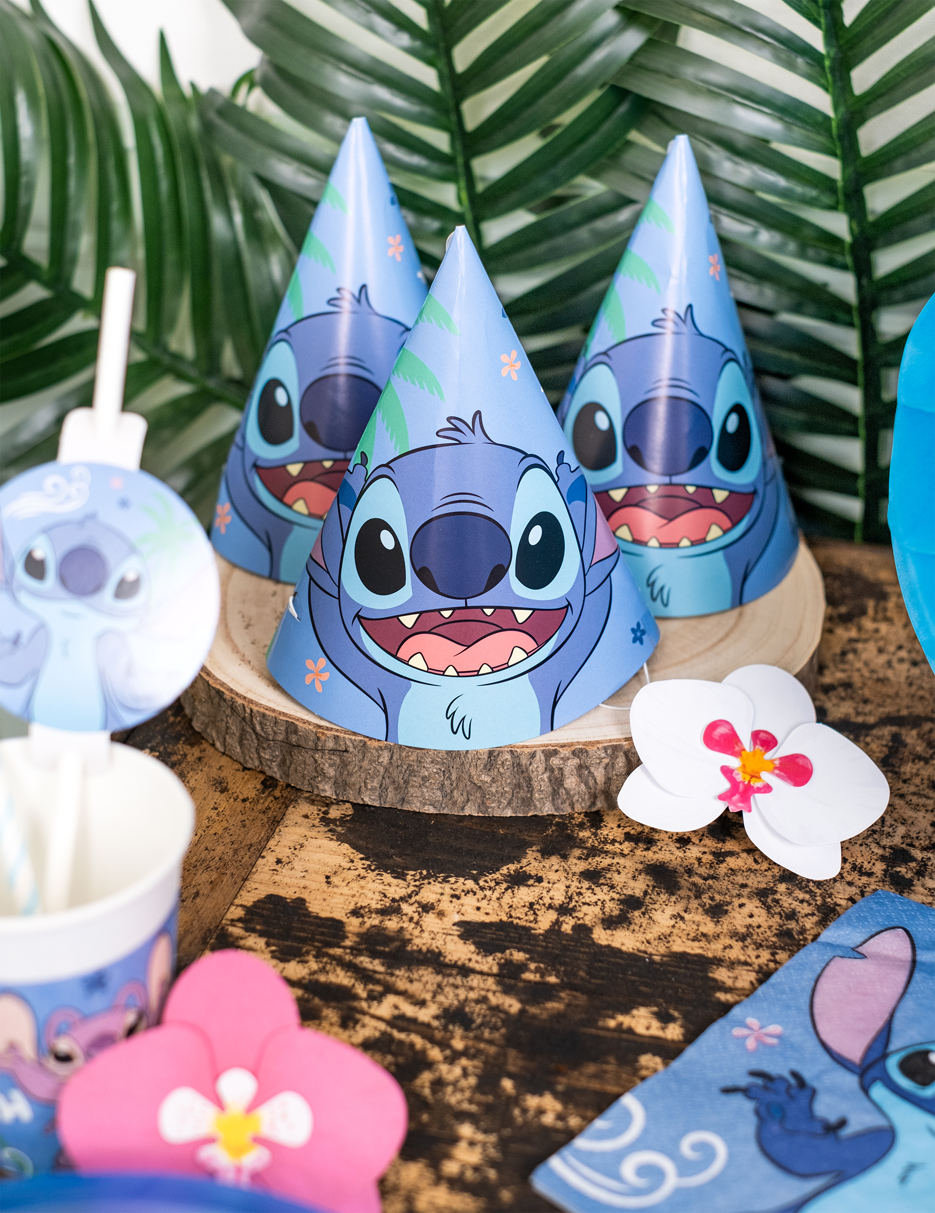 6-chapeaux-de-fete-stitch_343167_2
