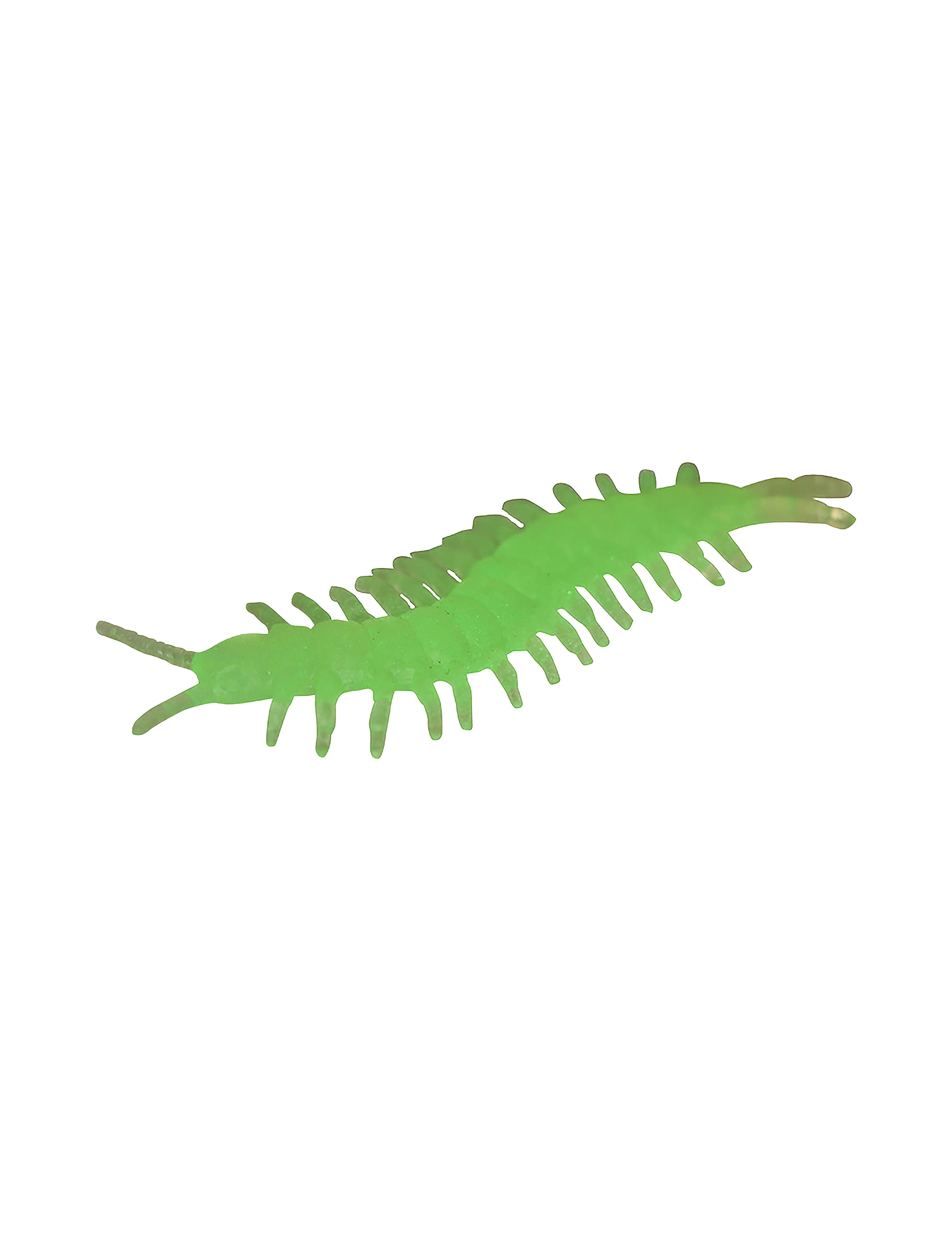 8-mille-pattes-phosphorescents-6-cm_348391_2