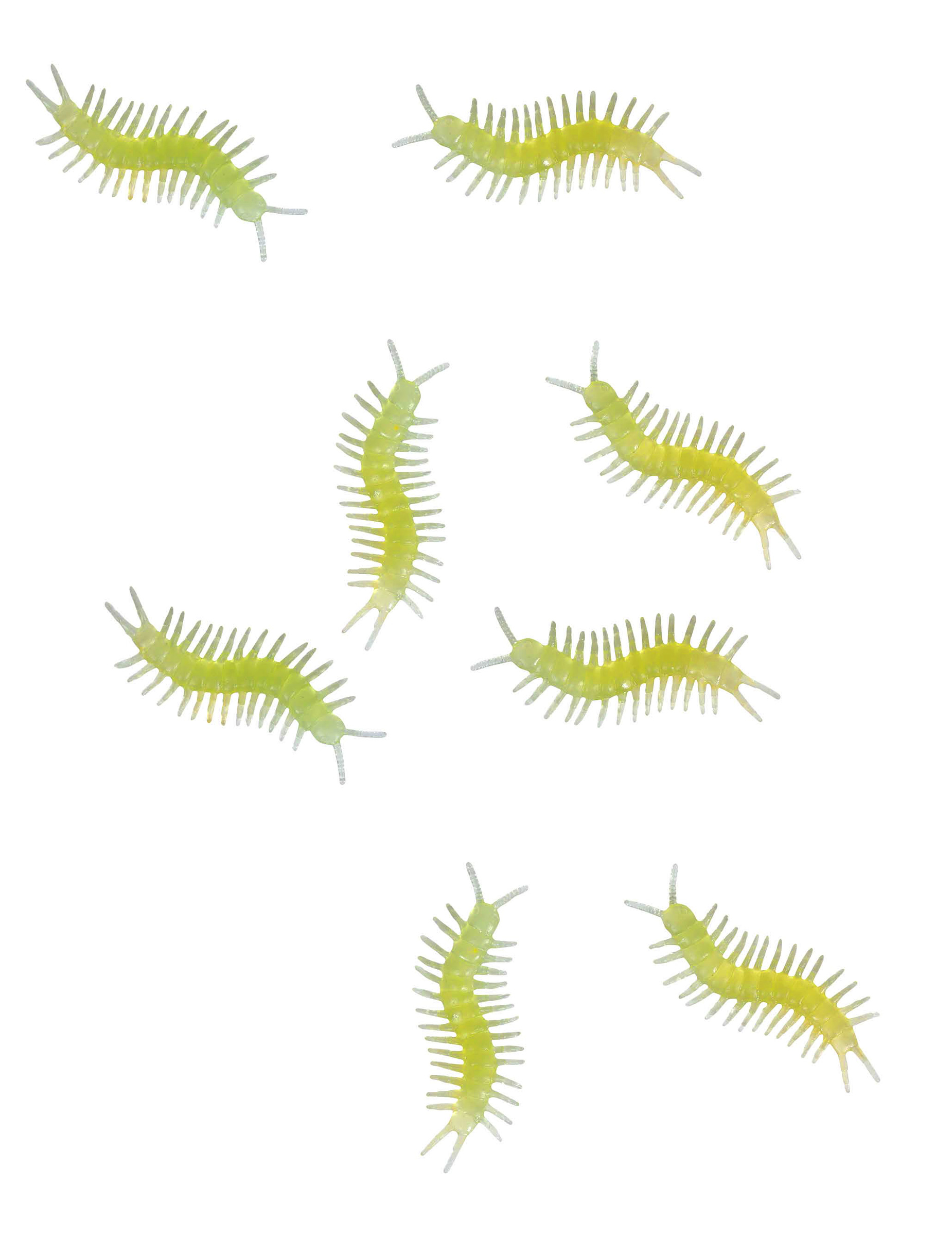8-mille-pattes-phosphorescents-6-cm_348391_3
