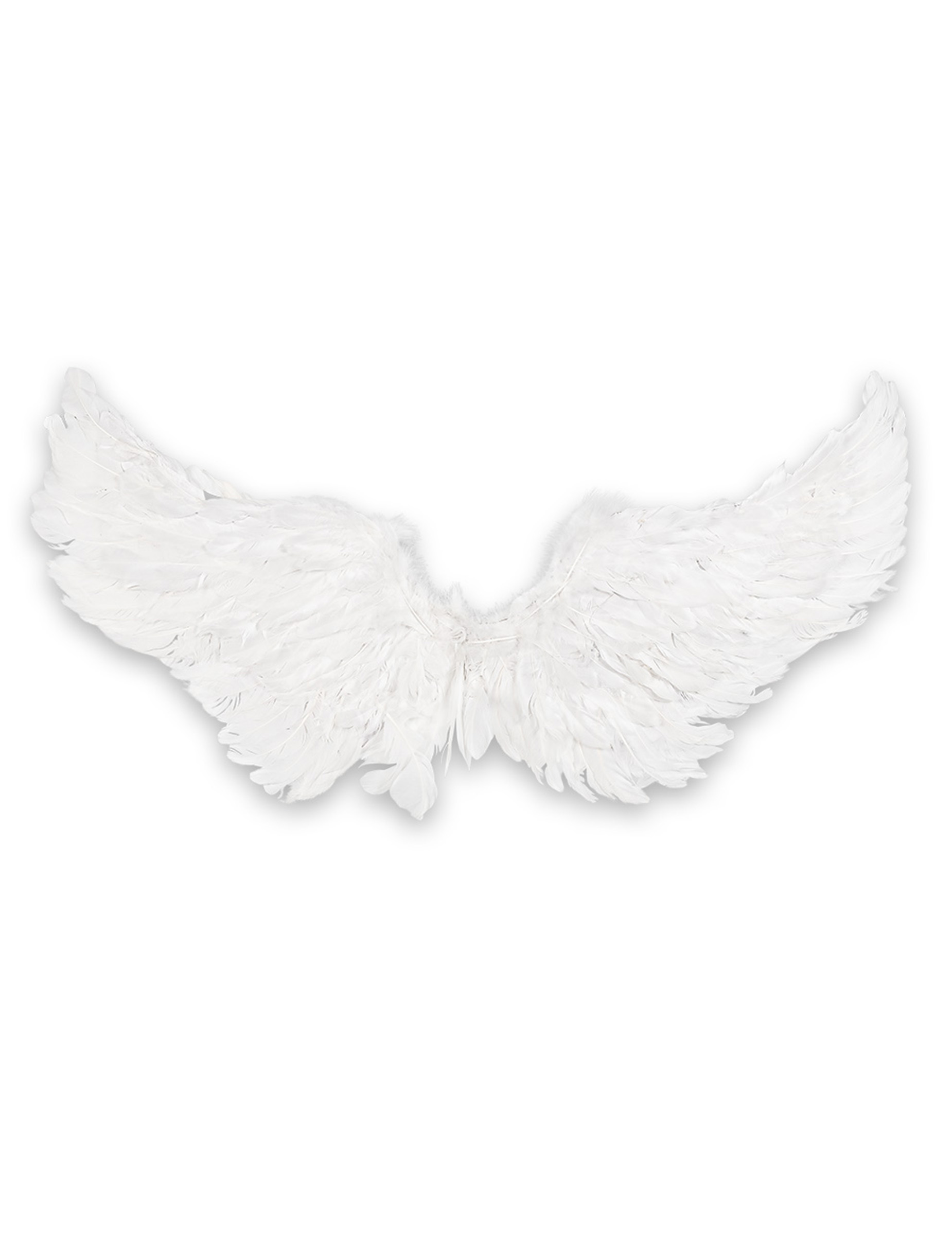 ailes-d-anges-blanches-lumineuses_348761_2
