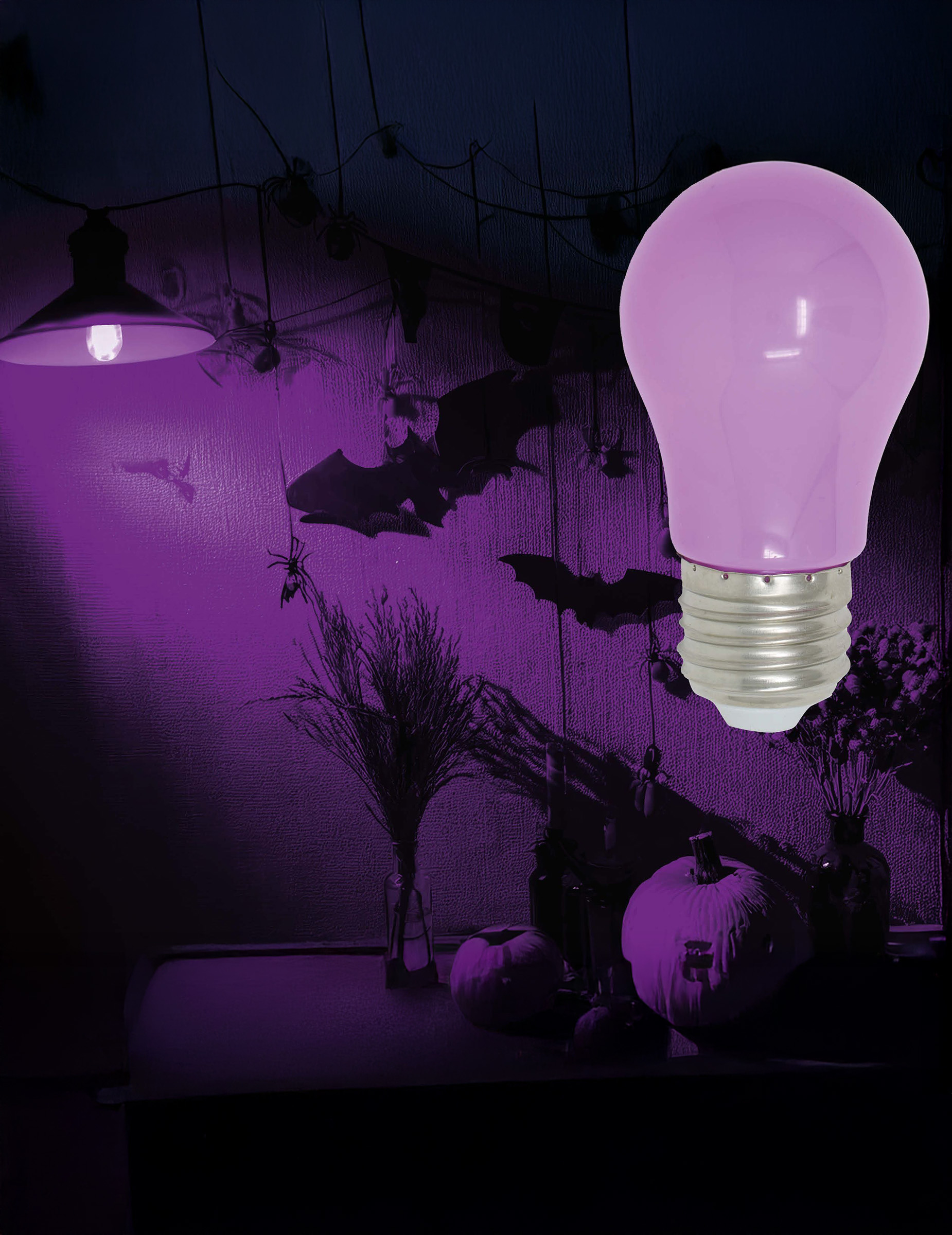 ampoule-led-lila-5w-e27_347877_1