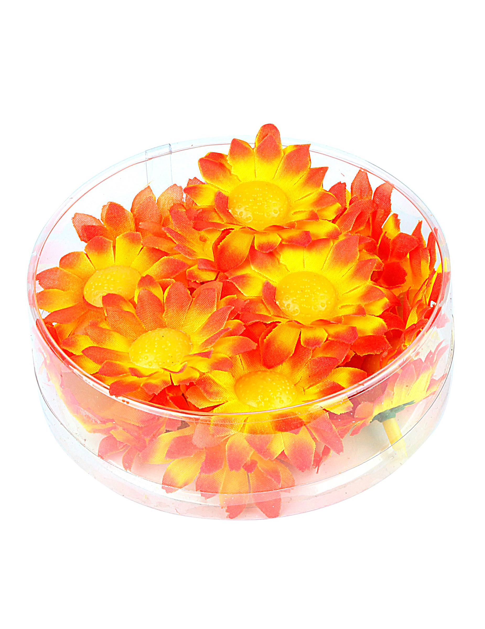 boite-de-20-fleurs-marguerite-jaune-orange_347155