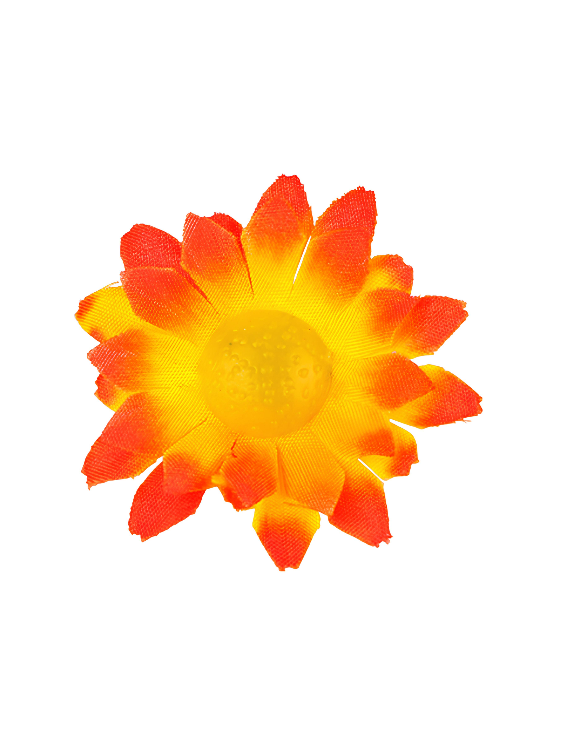 boite-de-20-fleurs-marguerite-jaune-orange_347155_1