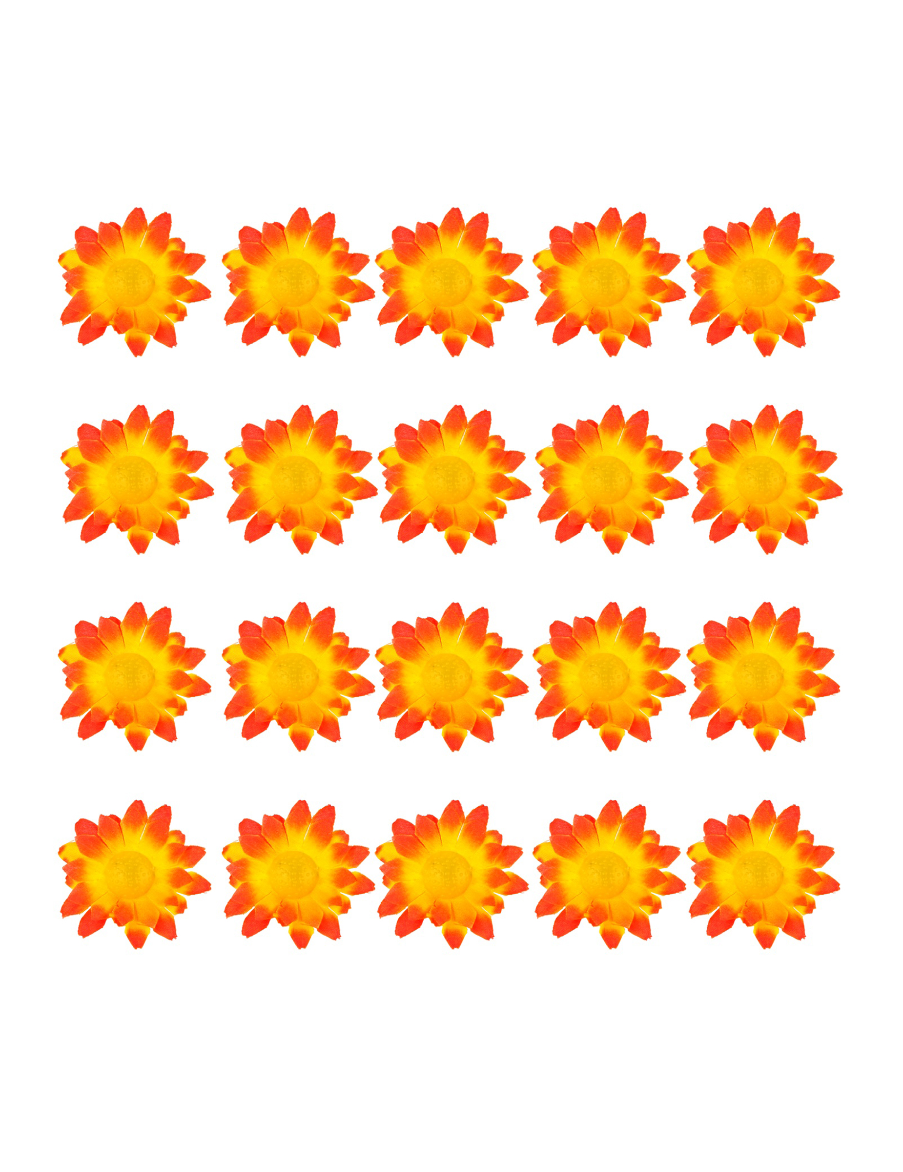 boite-de-20-fleurs-marguerite-jaune-orange_347155_2