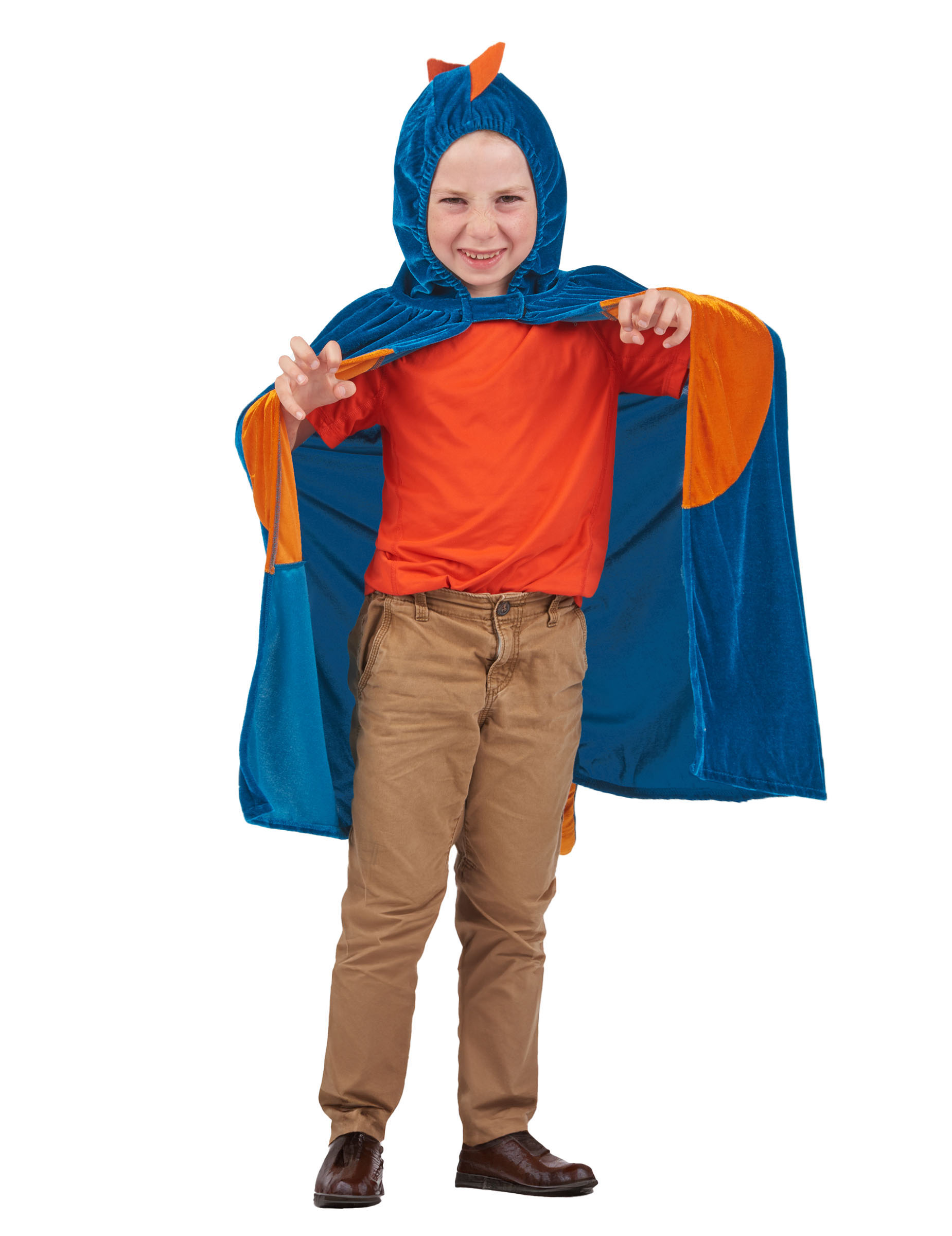 cape-dinosaure-enfant_342541