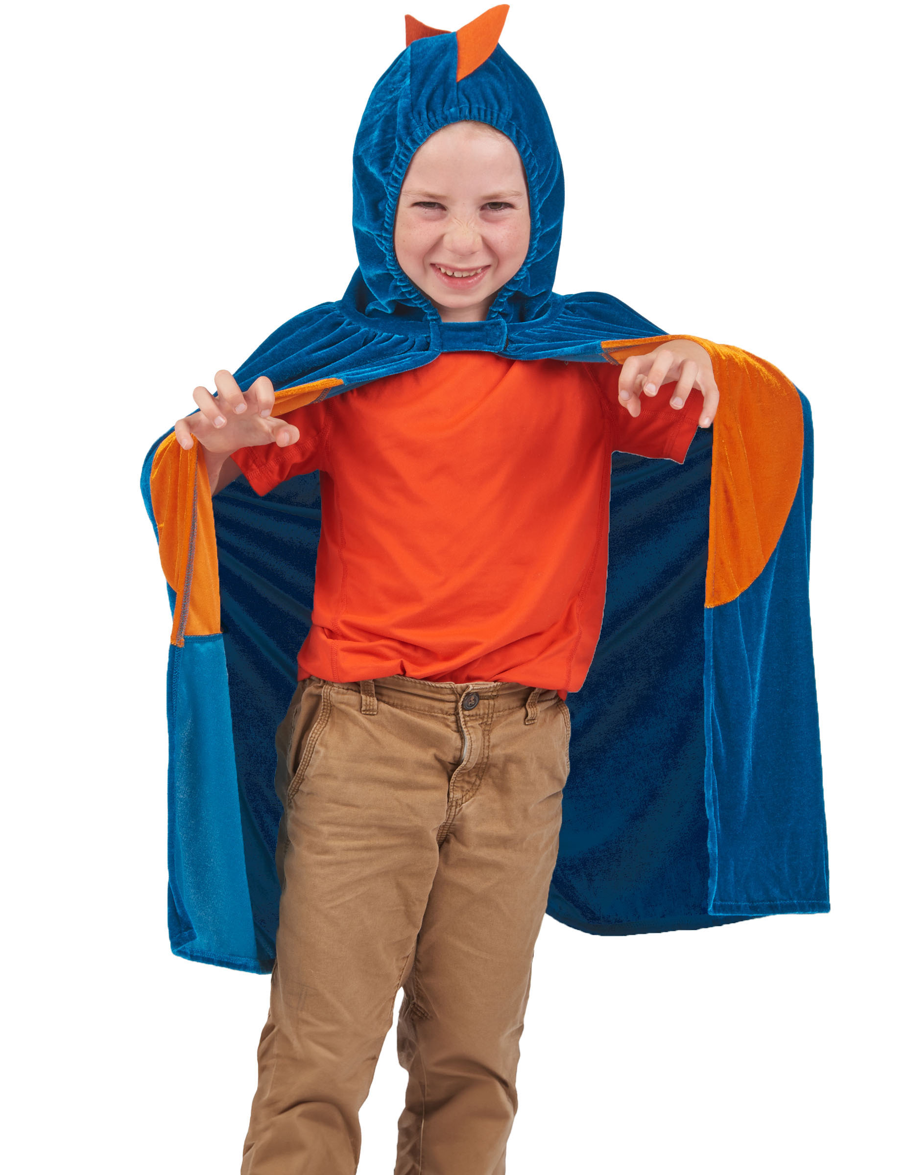 cape-dinosaure-enfant_342541_2