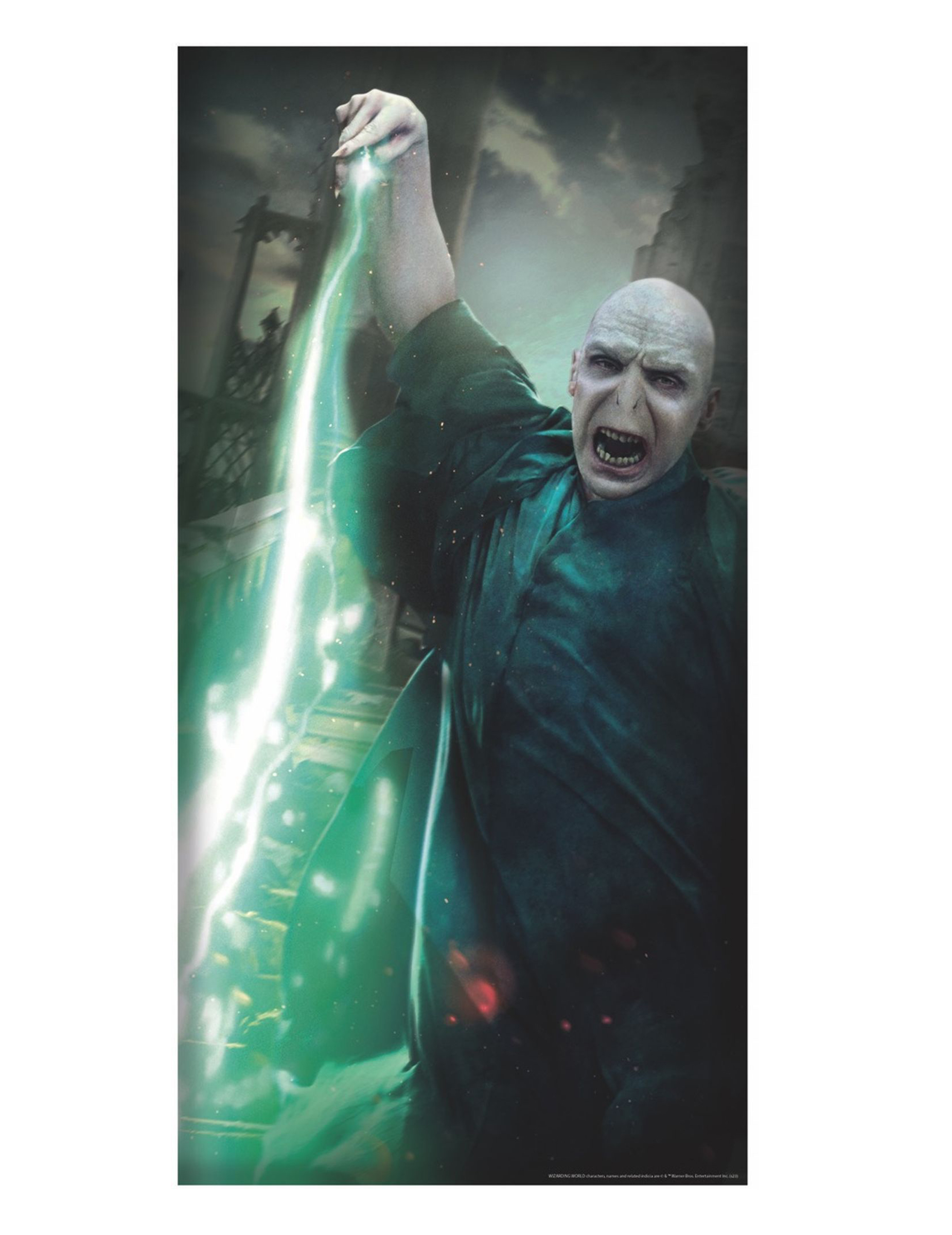 decoration-de-porte-voldemort-harry-potter_344105_1