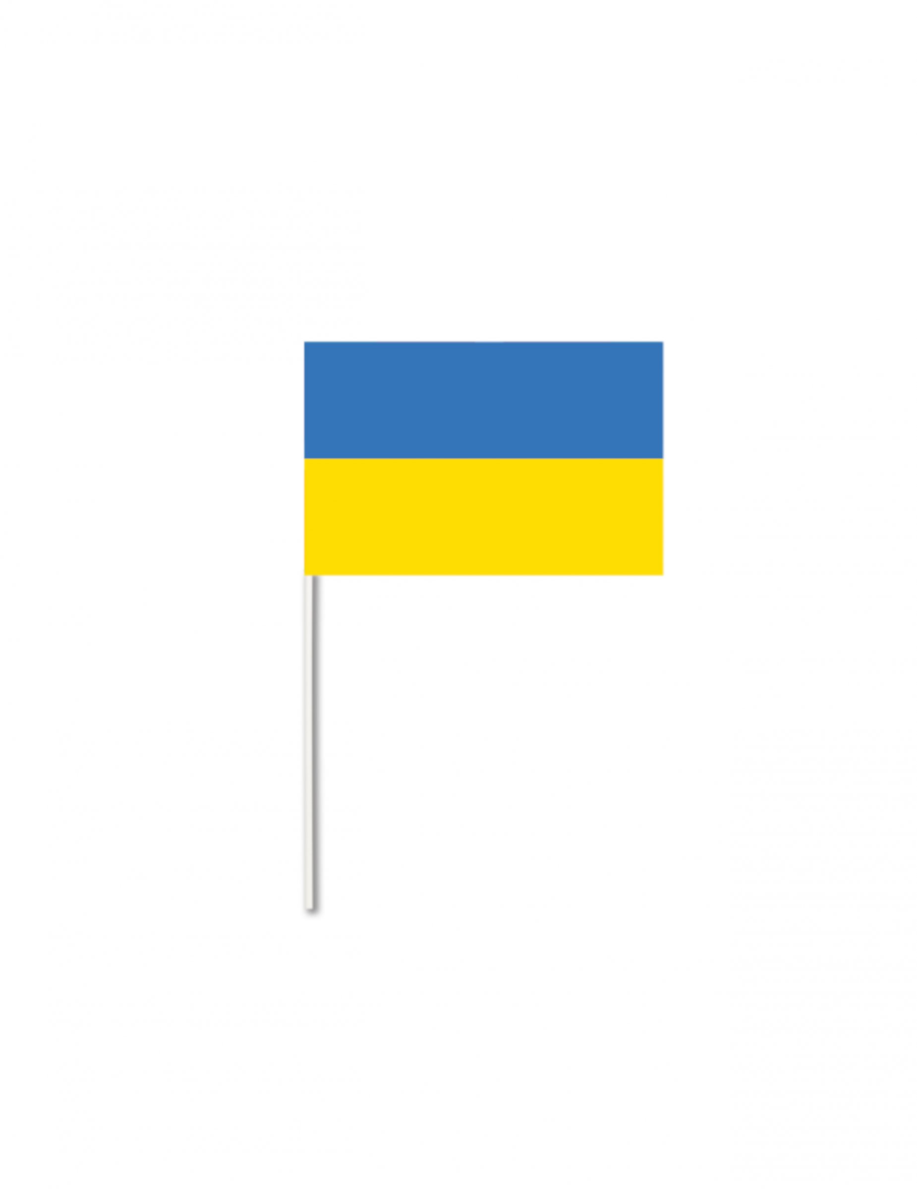 drapeau-papier-ukraine-14-x-21-cm_339882