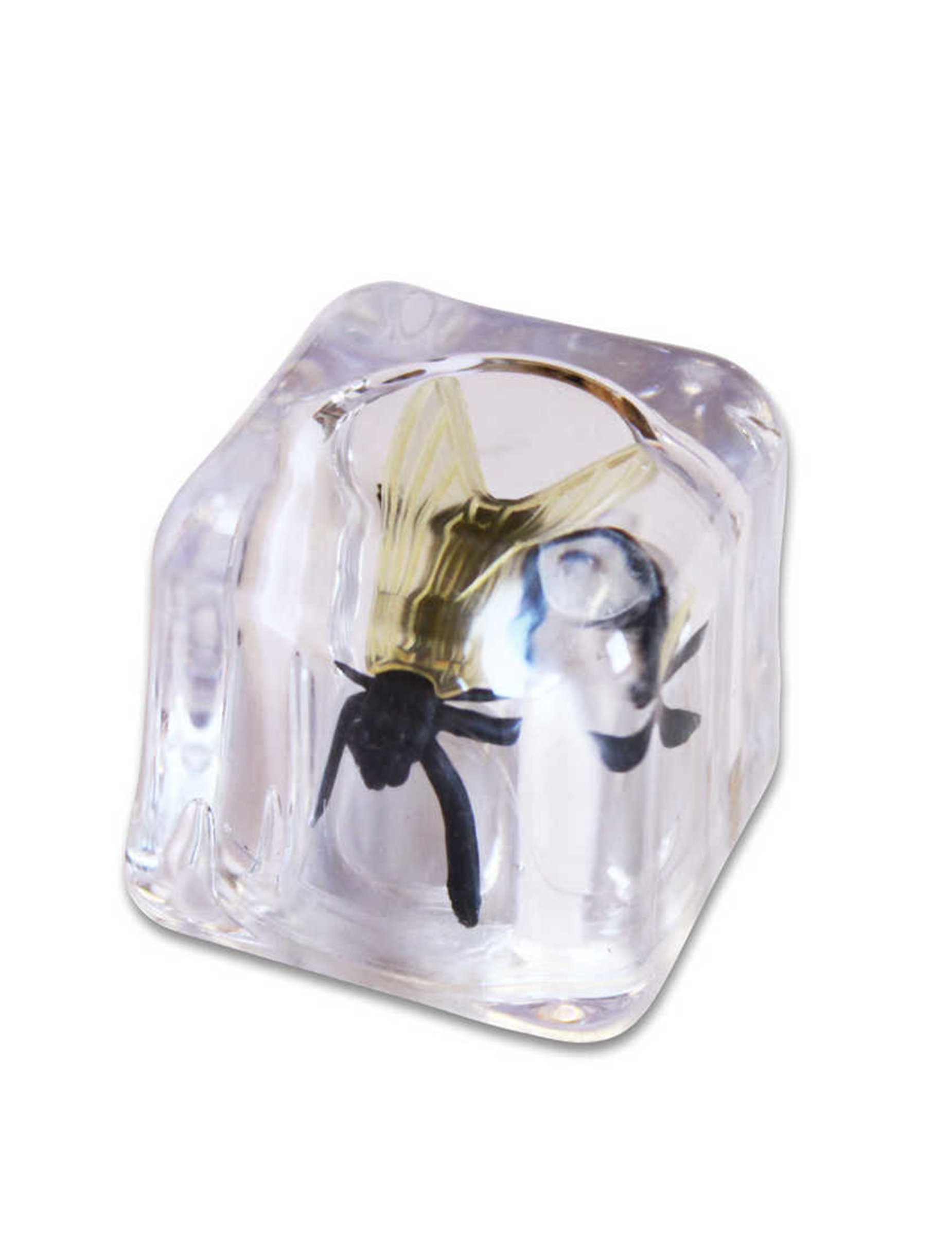 faux-glacon-avec-mouche-farces-et-attrapes_350289_1