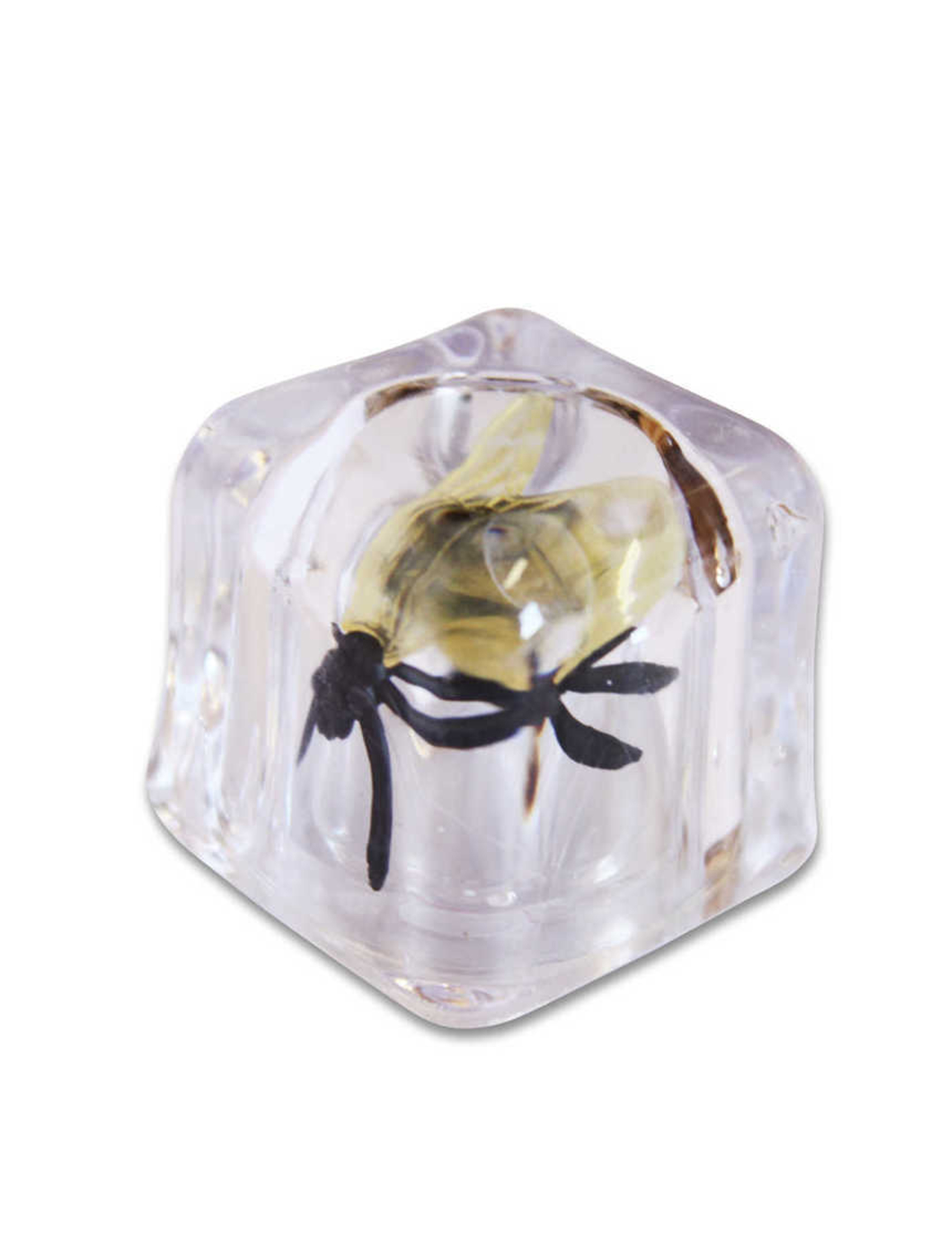 faux-glacon-avec-mouche-farces-et-attrapes_350289_3