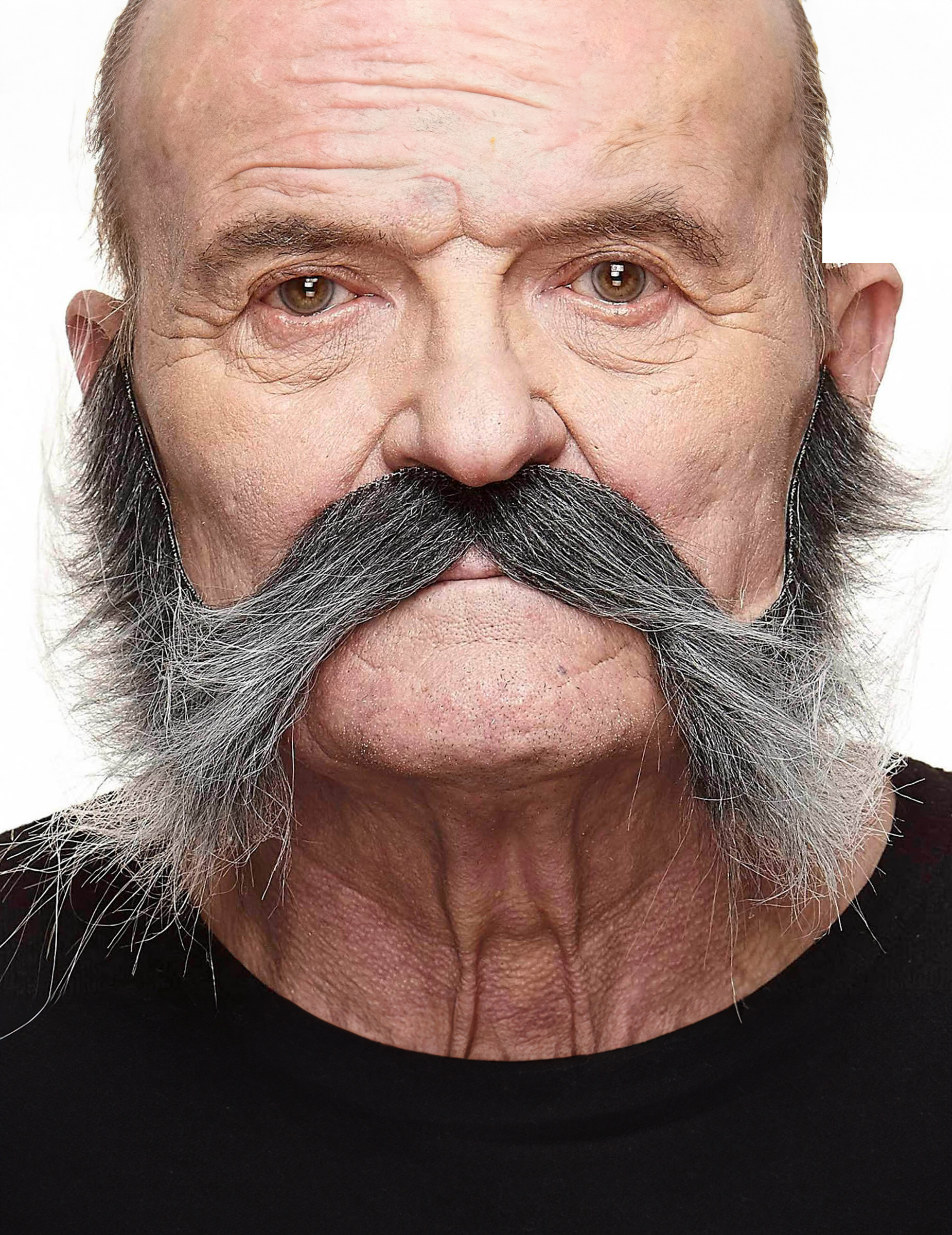 moustache-avec-pattesgrisonnante-homme_309093